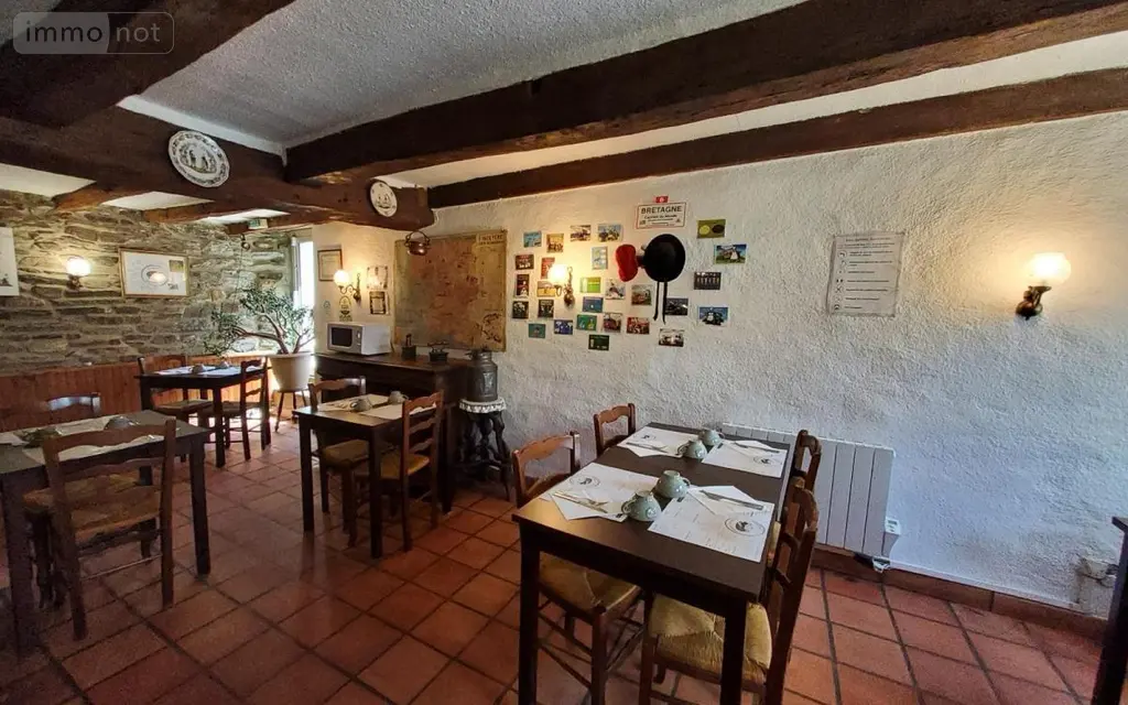 Immeuble de rapport a vendre Carhaix-Plouguer 29270 Finistère 29 120 m2 147000 euros 29066-3753 007