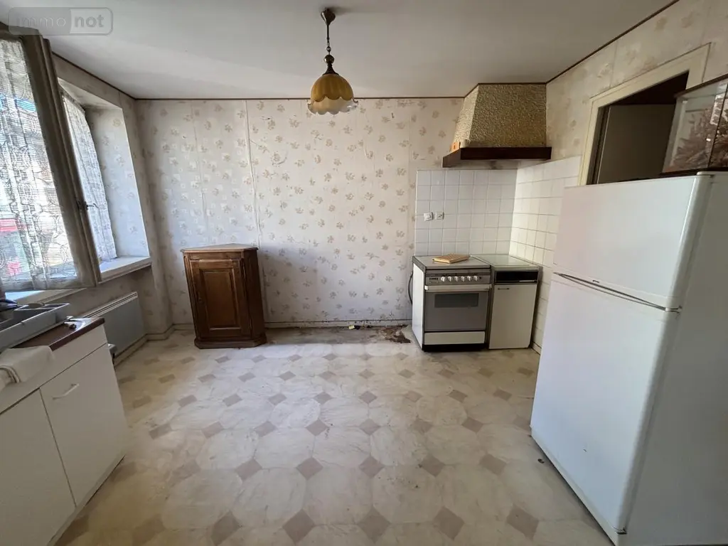 Immeuble de rapport a vendre Lagnieu 01150 Ain 01 44 m2 129000 euros 01037-917 006