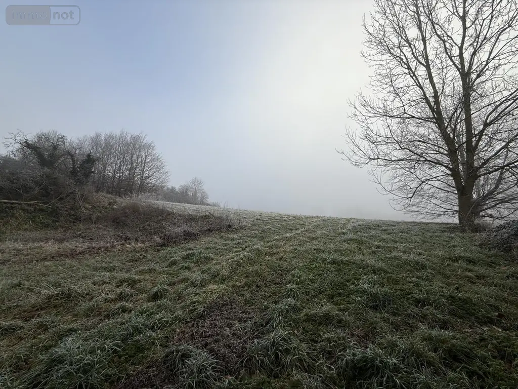 Terrain a batir a vendre Romain 51140 Marne 51 70000 euros 51066-2042 001
