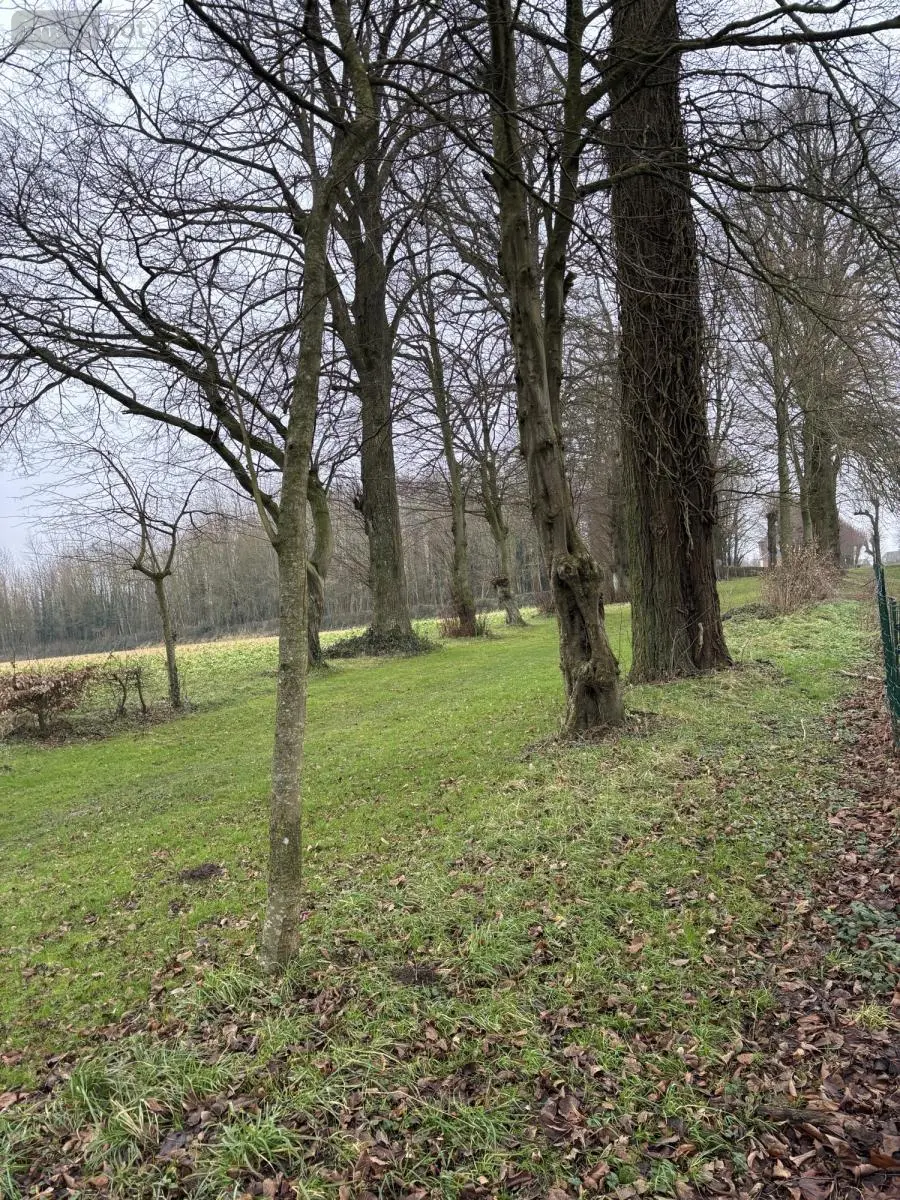 Terrain a batir a vendre Mailly-Maillet 80560 Somme 80 32000 euros 80121-2626 003