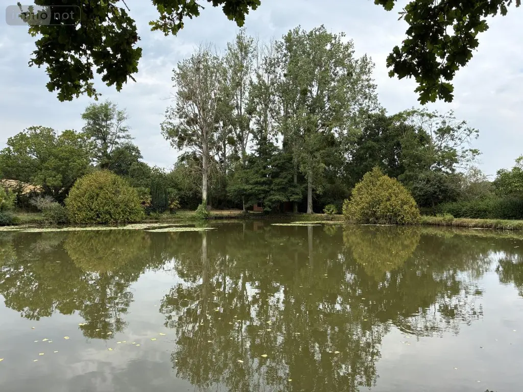Terrains de loisirs bois etangs a vendre Brée 53150 Mayenne 53 69000 euros 53004-1342 003