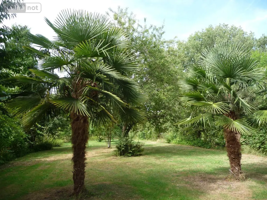 Maison a vendre Thun-Saint-Martin 59141 Nord 59 297 m2 6 pièces 898560 euros 59079-1662 010