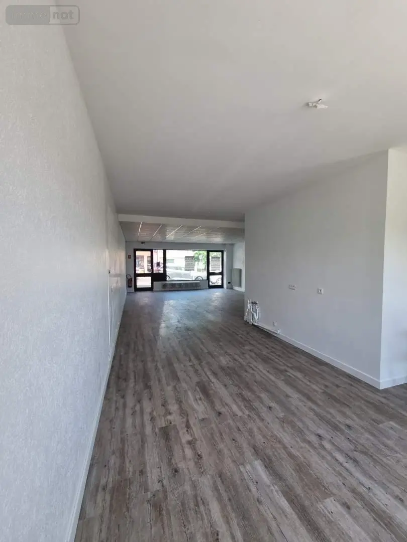Location fonds et murs commerciaux Saint-Genis-Pouilly 01630 Ain 01 100 m2 2250 euros 01047-L22 008
