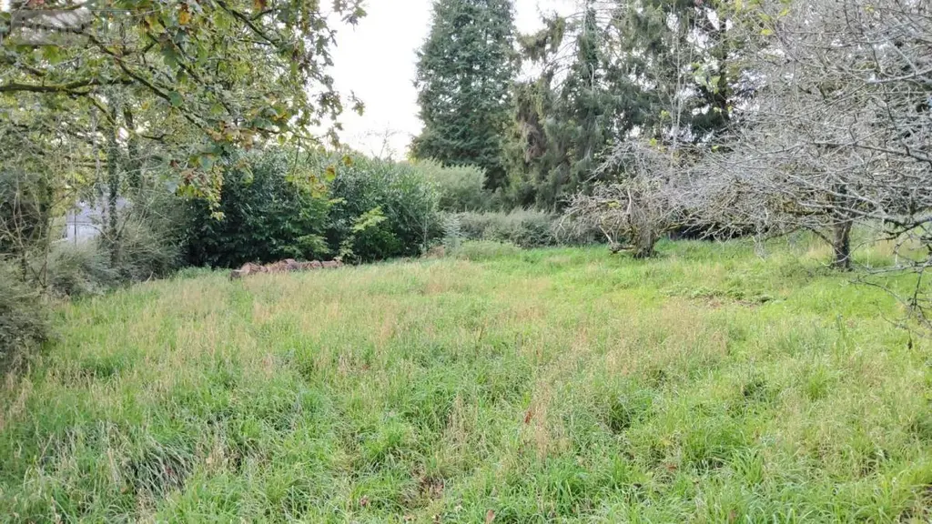 Terrain a batir a vendre Locmaria-Berrien 29690 Finistère 29 17500 euros 29066-3779 006