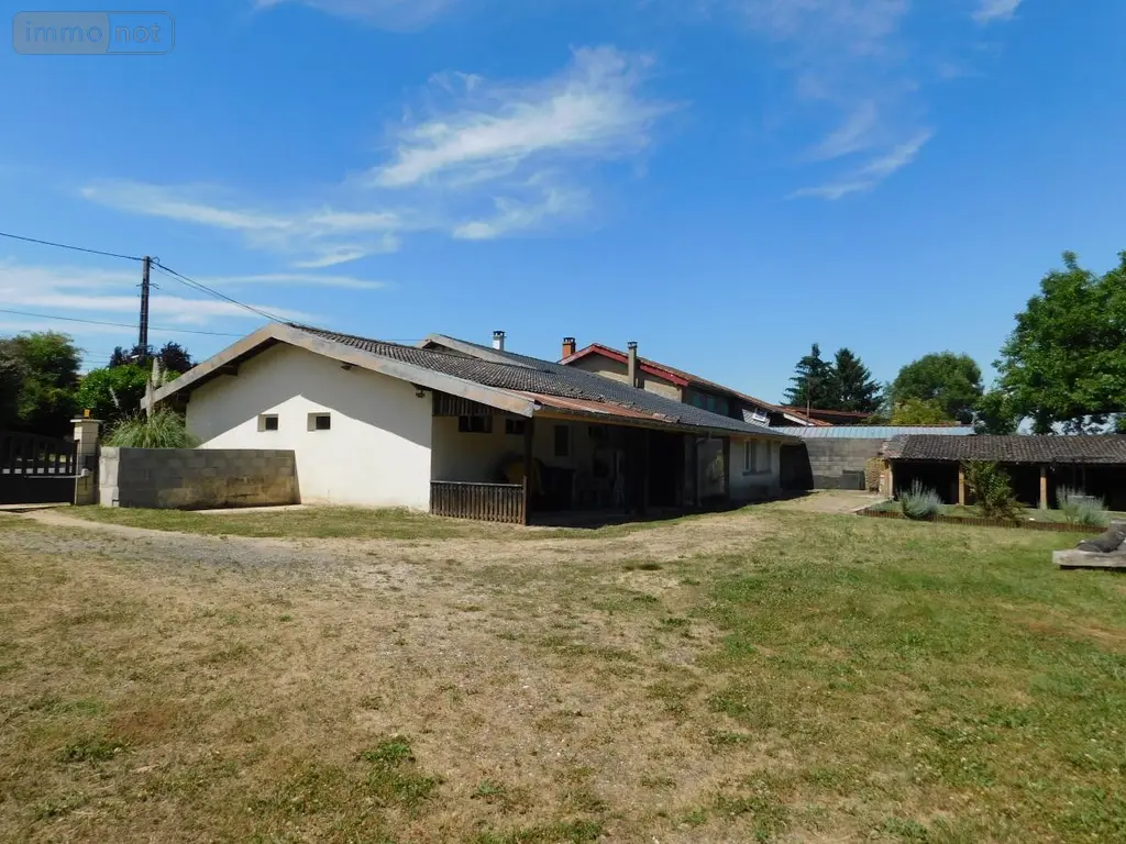 Maison a vendre Druillat 01160 Ain 01 238 m2 5 pièces 270000 euros 01016-526 001