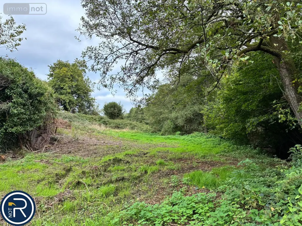 Terrains de loisirs bois etangs a vendre Montaudin 53220 Mayenne 53 13500 euros 53004-1253 010