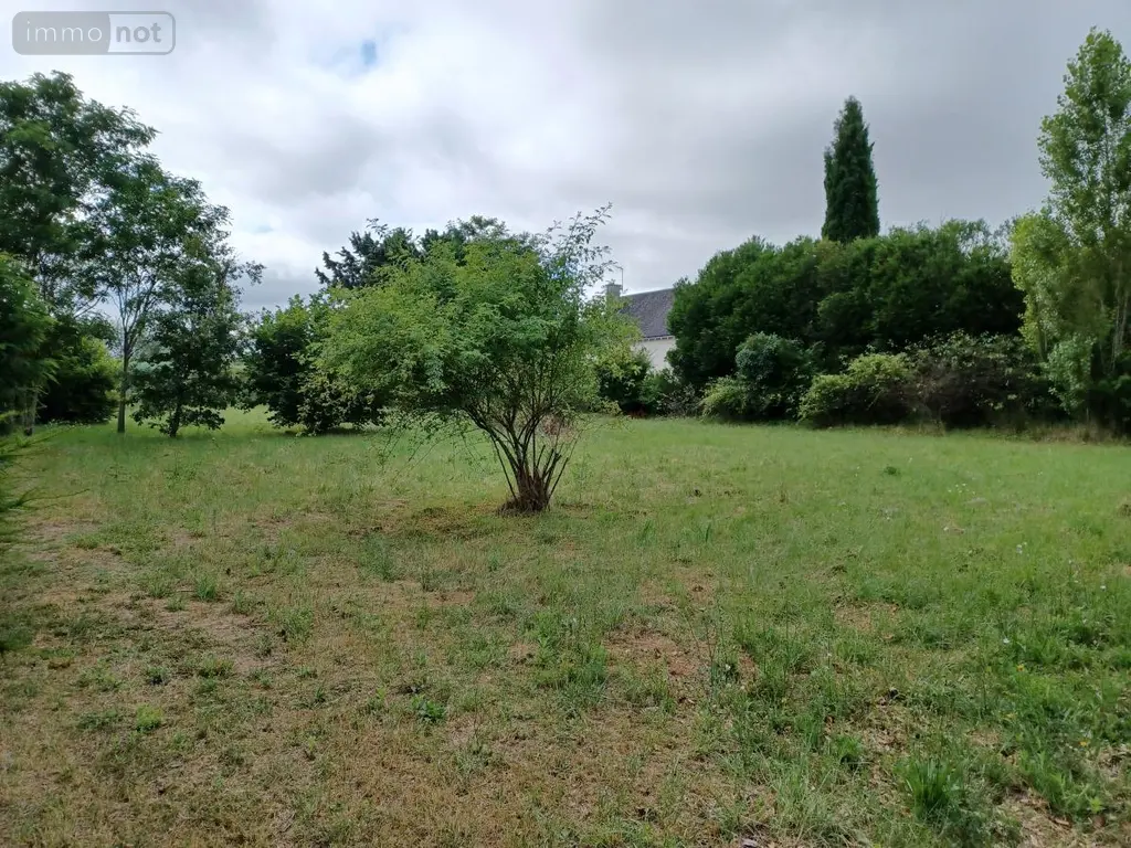 Terrain a batir a vendre Chinon 37500 Indre-et-Loire 37 64000 euros 37094-15 002