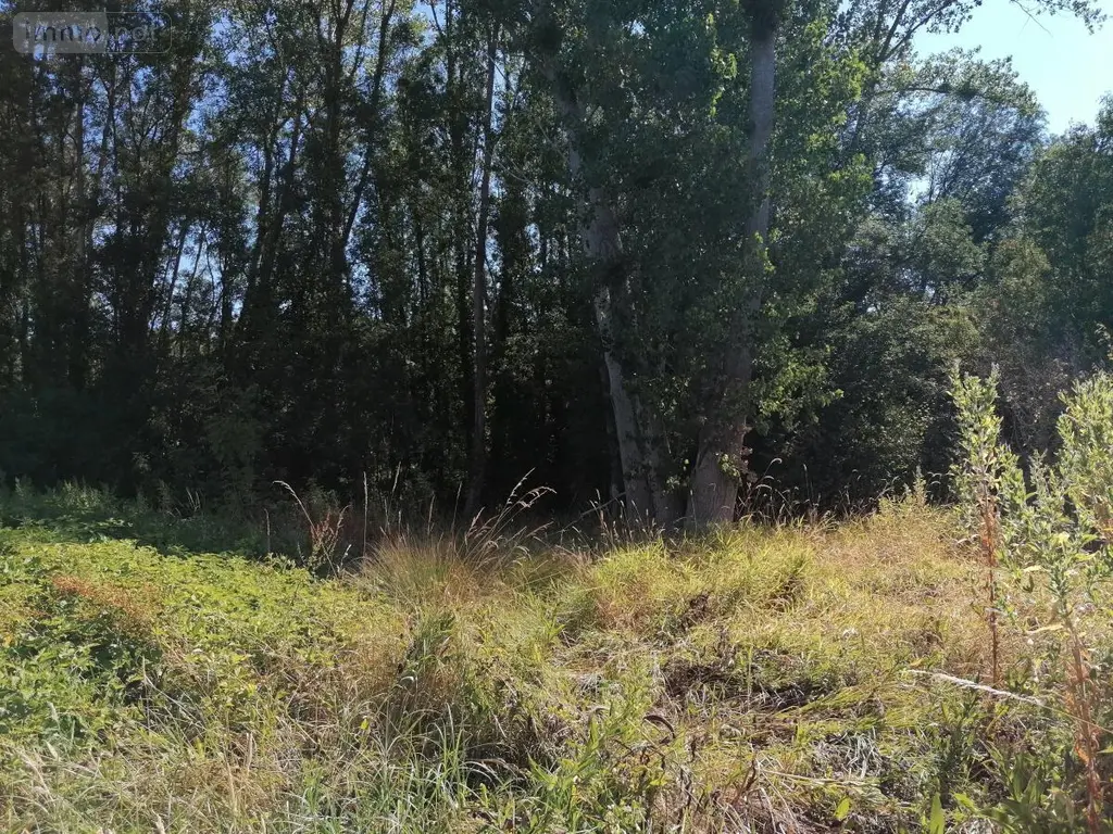Terrains de loisirs bois etangs a vendre Barrou 37350 Indre-et-Loire 37 17850 euros 37082-314 003