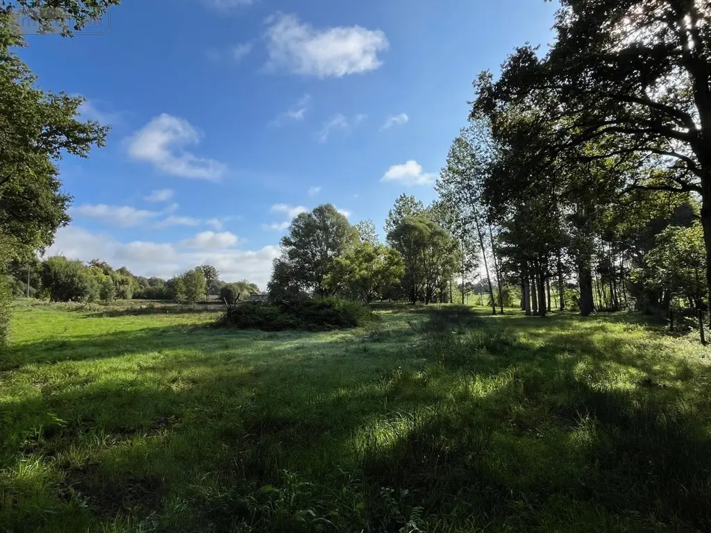 Terrains de loisirs bois etangs a vendre Saint-Christophe-du-Luat 53150 Mayenne 53 84320 euros 53078-1877 002