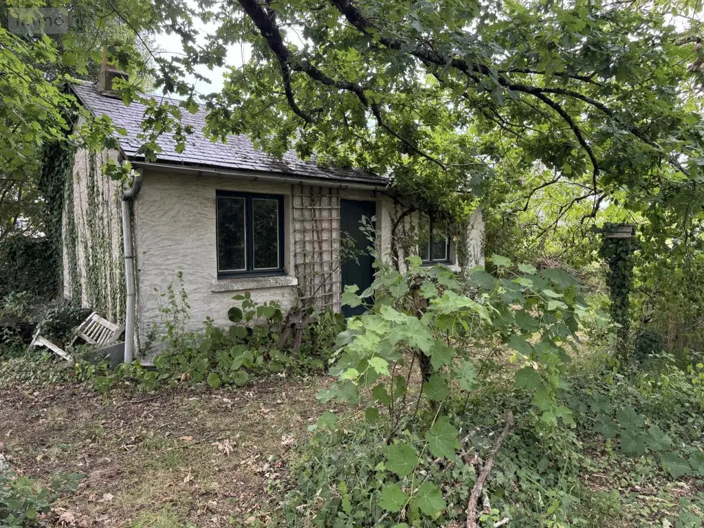 Maison a vendre Bourgueil 37140 Indre-et-Loire 37 145 m2 6 pièces 286000 euros 37094-51 013