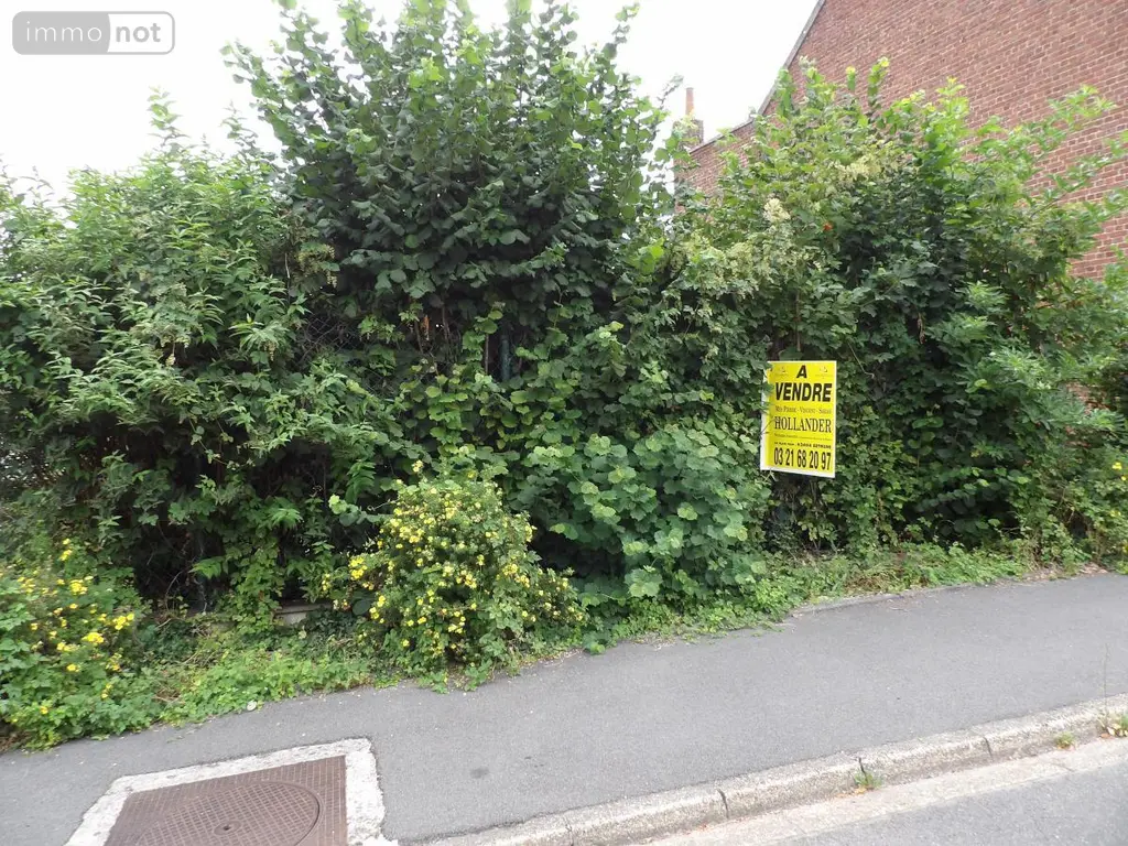Terrain a batir a vendre Labeuvrière 62122 Pas-de-Calais 62 44500 euros 62023-3668 004