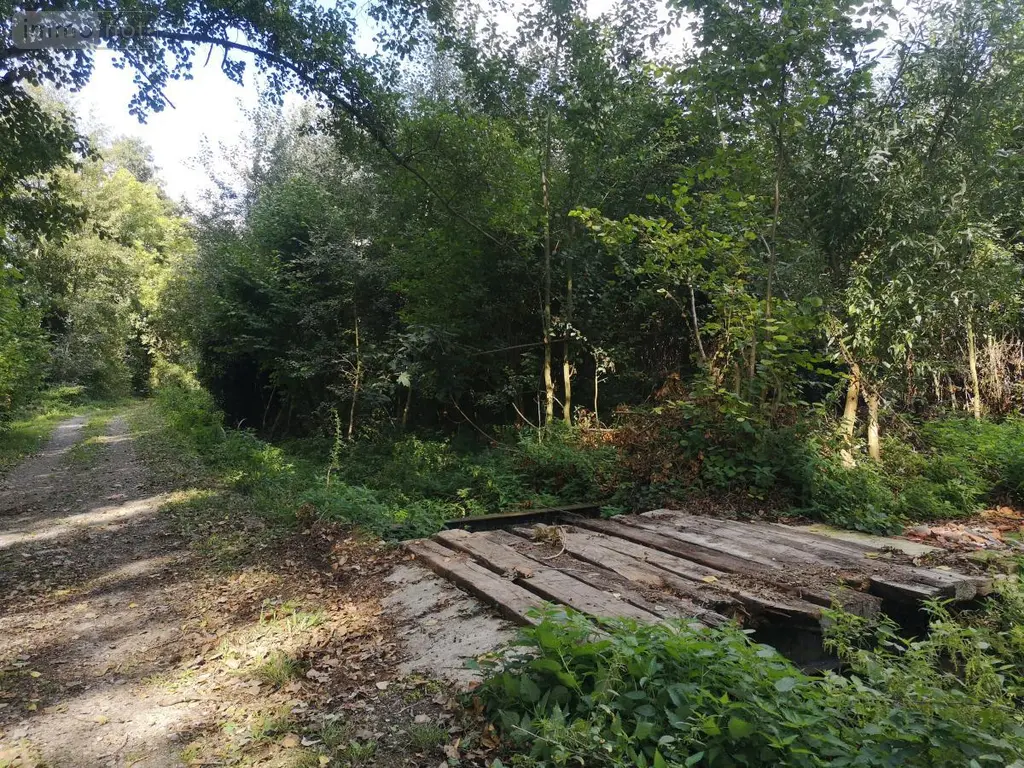 Terrains de loisirs bois etangs a vendre Thun-Saint-Martin 59141 Nord 59 19000 euros 59084-2039 002