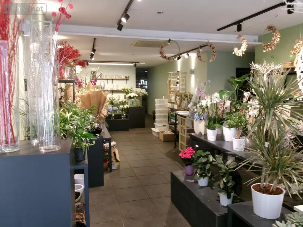 Location fonds et murs commerciaux Béthune 62400 Pas-de-Calais 62 120 m2 2000 euros 62023-L1448 005