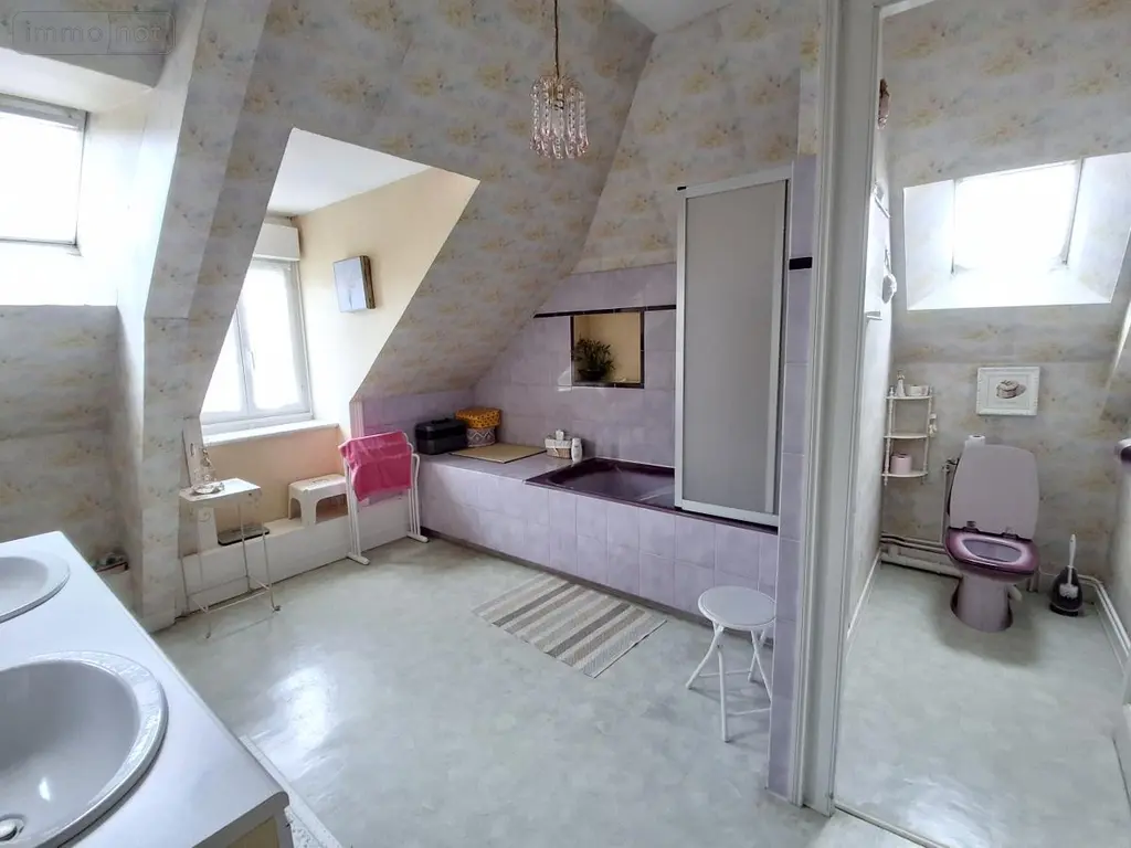 Maison a vendre Pontivy 56300 Morbihan 56 254 m2 7 pièces 470620 euros 56062-2313 018