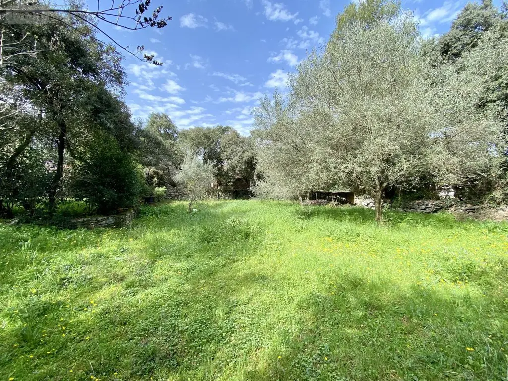 Terrain a batir a vendre Castries 34160 Hérault 34 359850 euros 34012-713 005