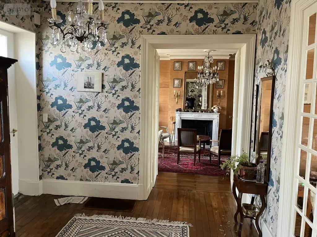 Maison a vendre Broût-Vernet 03110 Allier 03 310 m2 14 pièces 480000 euros 63022-38 009