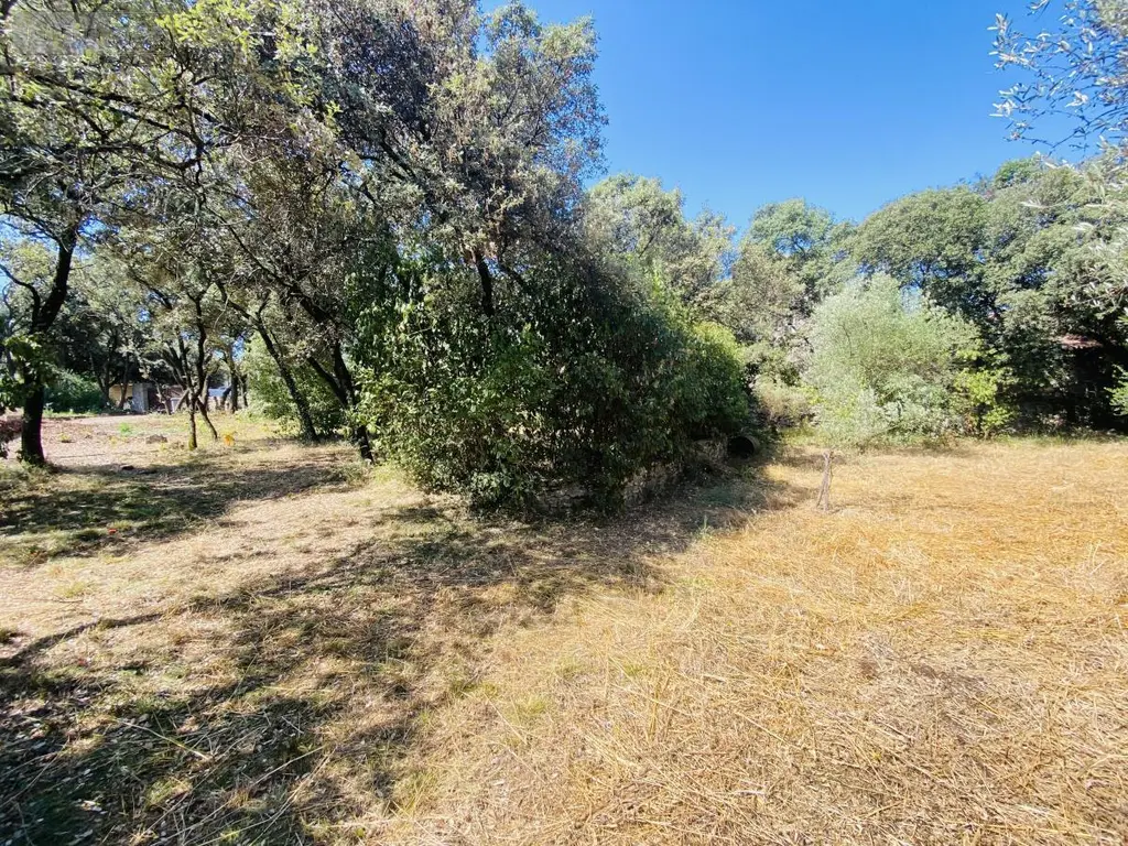 Terrain a batir a vendre Castries 34160 Hérault 34 359850 euros 34012-713 004