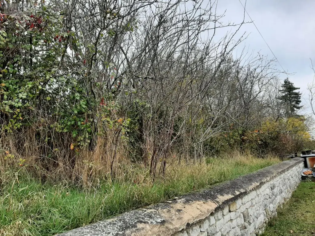 Terrain a batir a vendre Sepmes 37800 Indre-et-Loire 37 33000 euros 37072-670 006