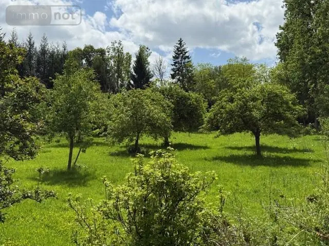 Maison a vendre La Vespière-Friardel 14290 Calvados 14 324 m2 781000 euros 14058-1794 039