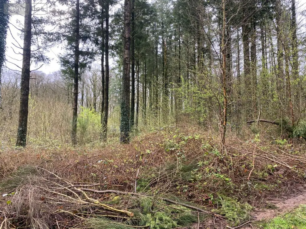 Terrains de loisirs bois etangs a vendre Champ-du-Boult 14380 Calvados 14 56710 euros 14076-5853 003