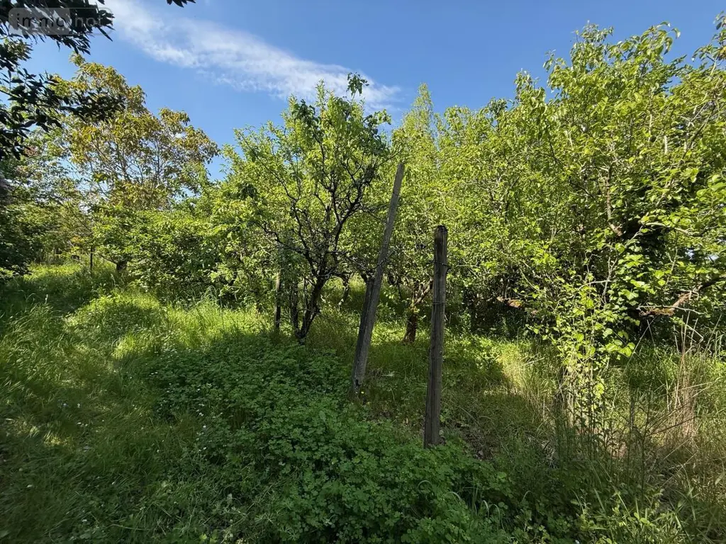 Maison a vendre Verrières-en-Anjou 49480 Maine-et-Loire 49 107 m2 7 pièces 314400 euros 49012-2083 007