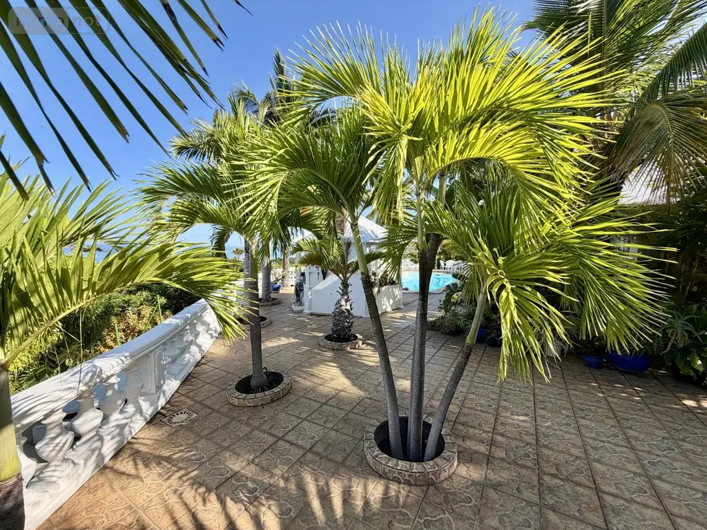 Maison a vendre Saint-Paul 97460 La Réunion 974 150 m2 6 pièces 1700000 euros 97409-297 018