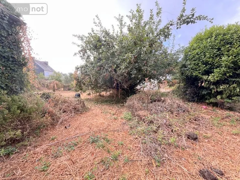 Maison a vendre Pont-l'Abbé 29120 Finistère 29 124 m2 187780 euros 29022-1962 002
