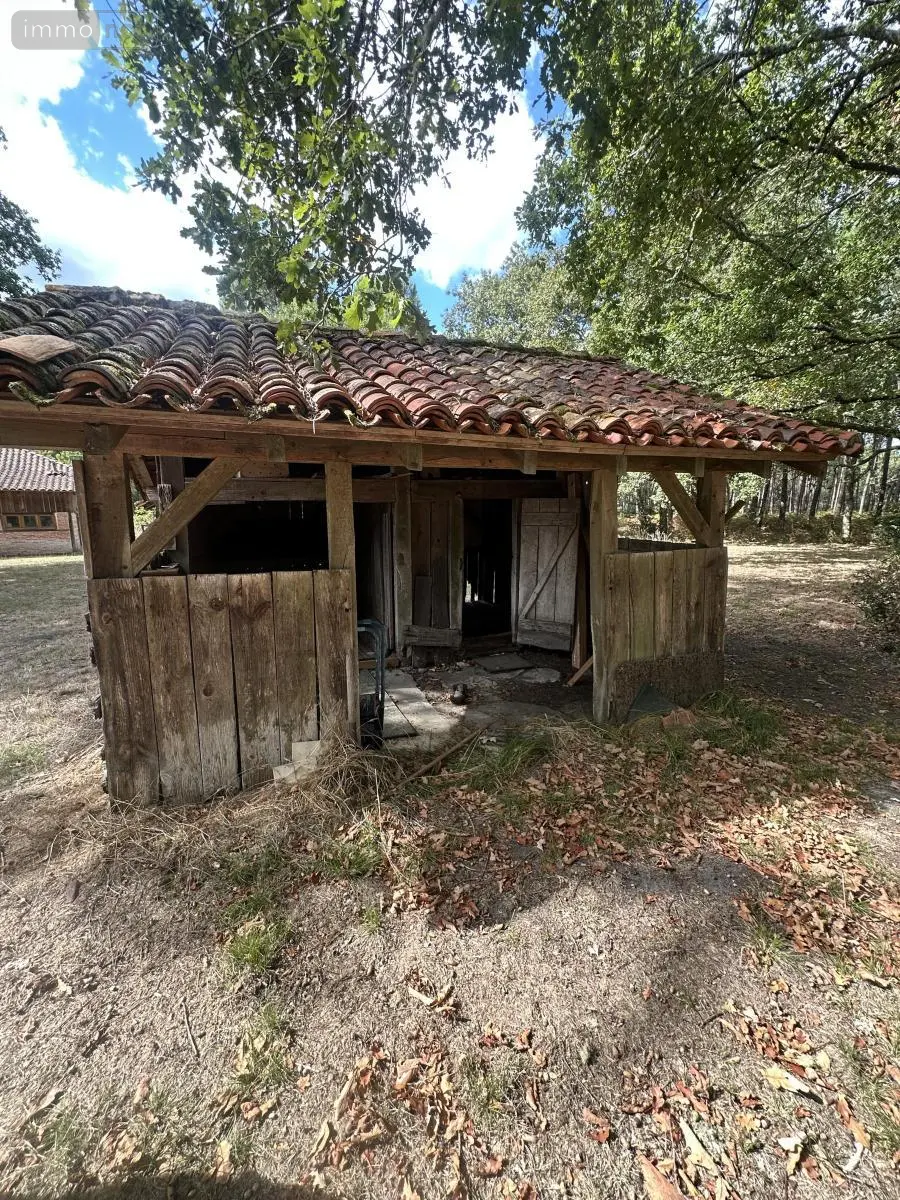 Maison a vendre Sabres 40630 Landes 40 149 m2 6 pièces 262000 euros 40007-105 015