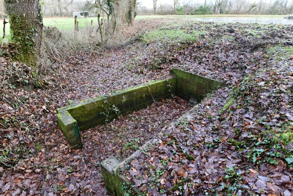 Terrains de loisirs bois etangs a vendre Mézangers 53600 Mayenne 53 63000 euros 53004-1296 008
