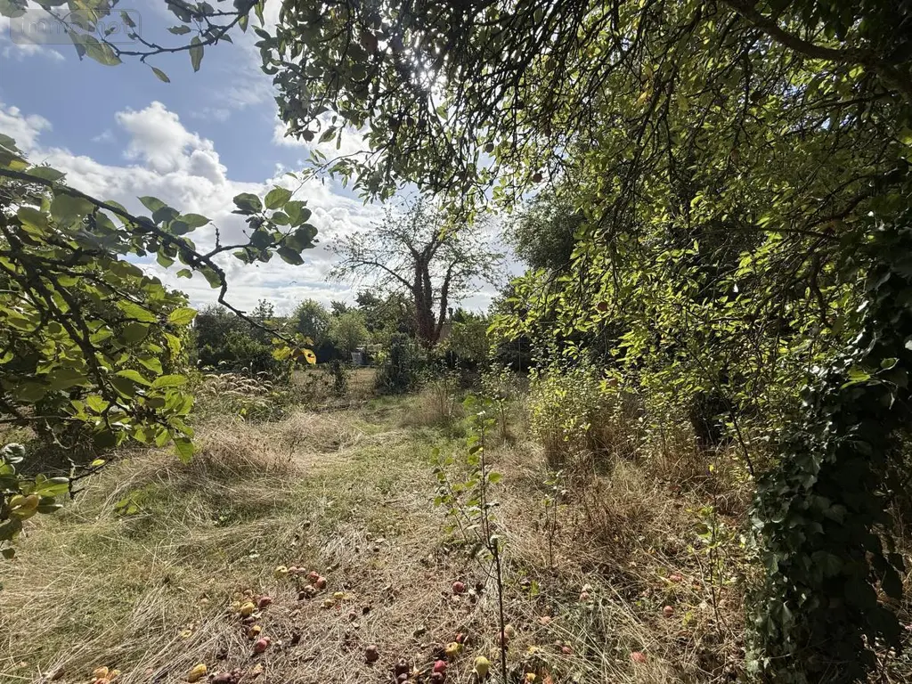 Terrain a batir a vendre Gueux 51390 Marne 51 300000 euros 51066-2115 006
