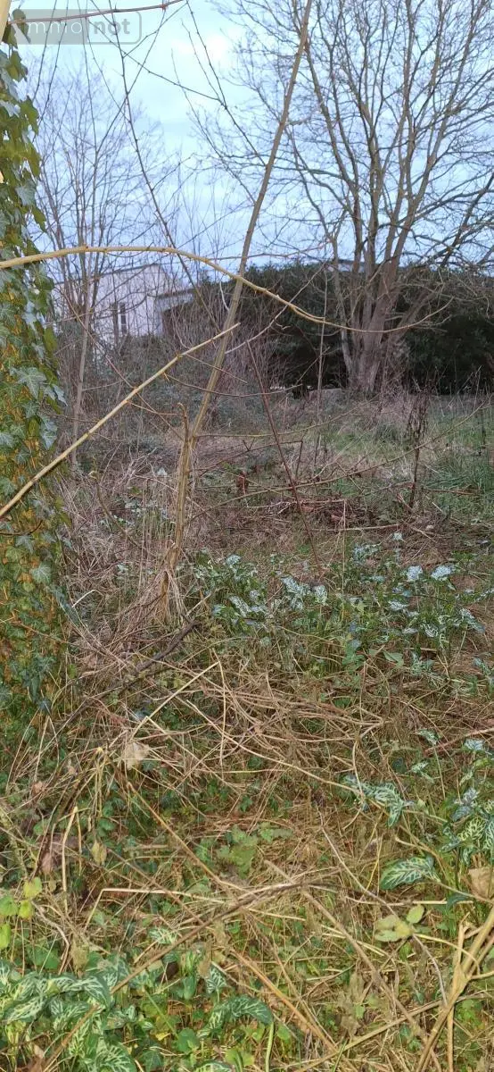 Terrain a batir a vendre Villemandeur 45700 Loiret 45 52000 euros 45049-104 005