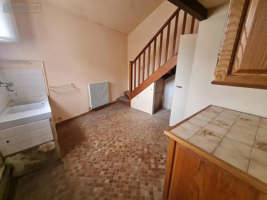Maison a vendre Sougé 41800 Loir-et-Cher 41 59 m2 2 pièces 43400 euros 41059-863 003