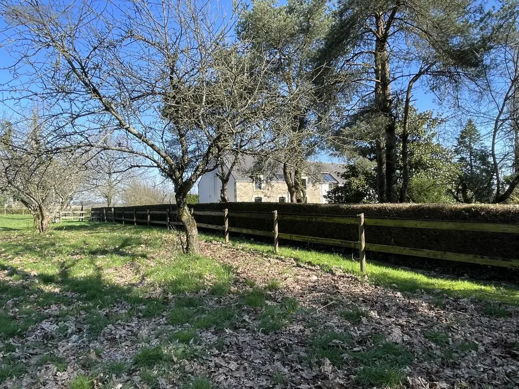 Maison a vendre La Chapelle-Neuve 56500 Morbihan 56 286 m2 8 pièces 571960 euros 56076-1352 016