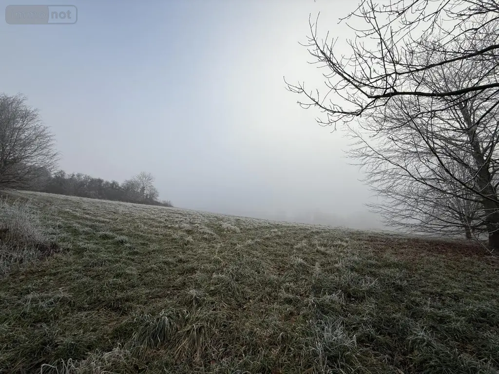 Terrain a batir a vendre Romain 51140 Marne 51 70000 euros 51066-2042 002
