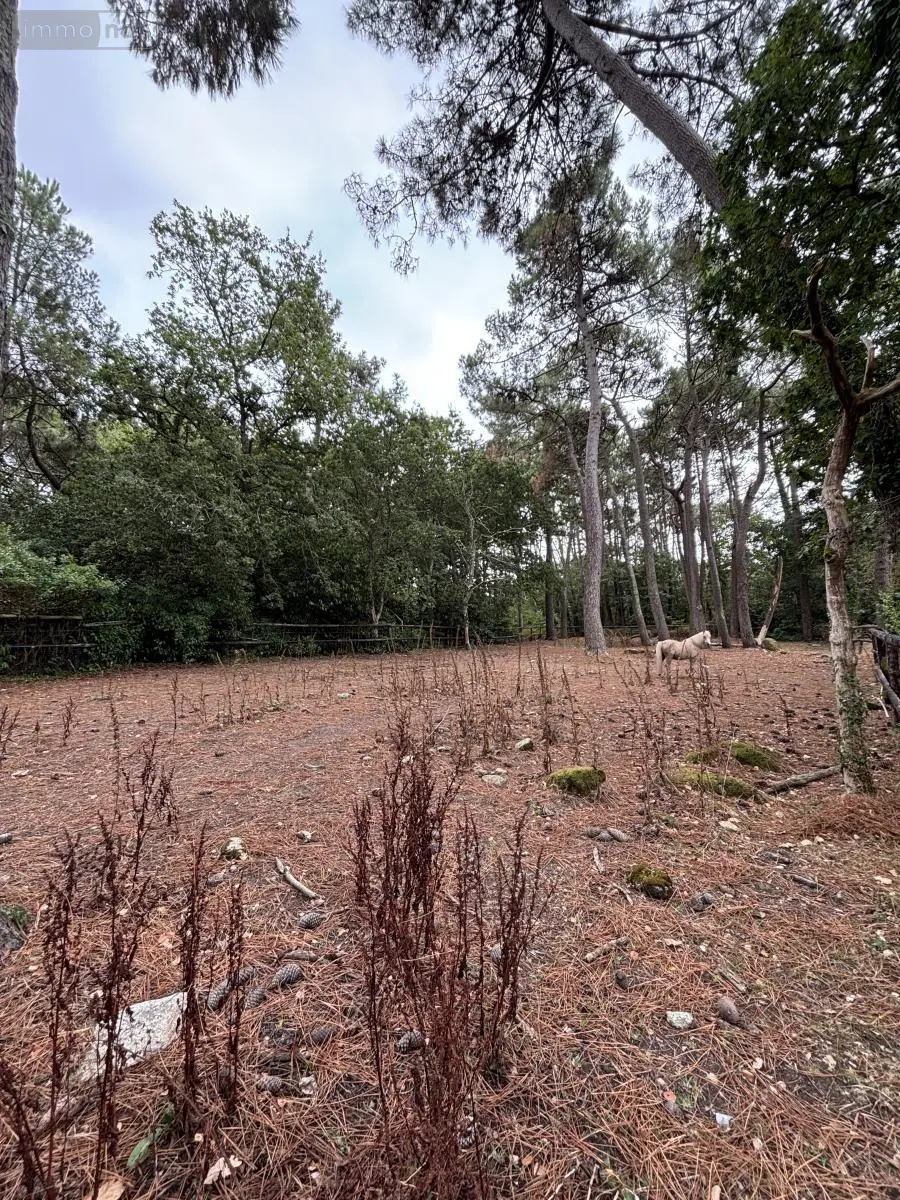 Maison a vendre Ploemeur 56270 Morbihan 56 230 m2 8 pièces 830240 euros 56082-1527 011