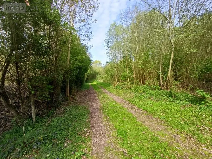 Terrains de loisirs bois etangs a vendre Amiens 80000 Somme 80 135000 euros 80011-5566 004