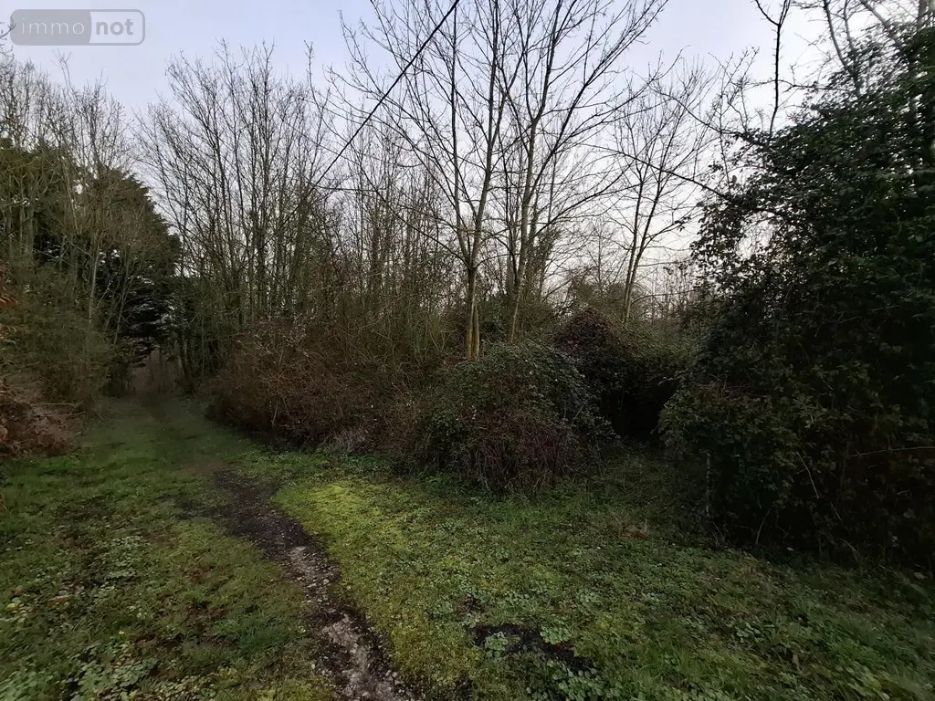Terrains de loisirs bois etangs a vendre Ames 62190 Pas-de-Calais 62 28000 euros 62050-1772 003