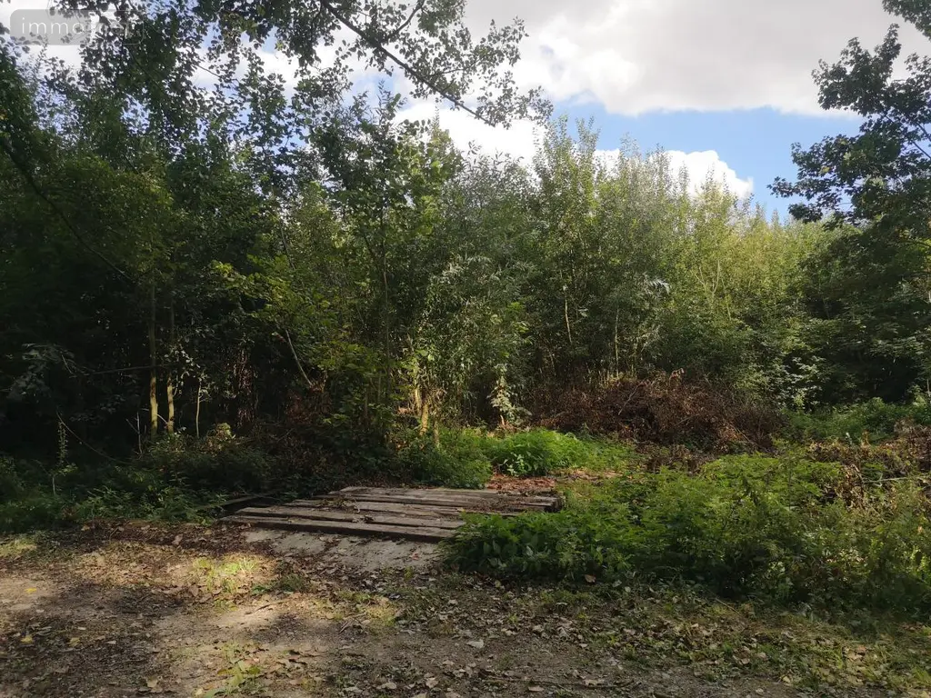 Terrains de loisirs bois etangs a vendre Thun-Saint-Martin 59141 Nord 59 19000 euros 59084-2039 001