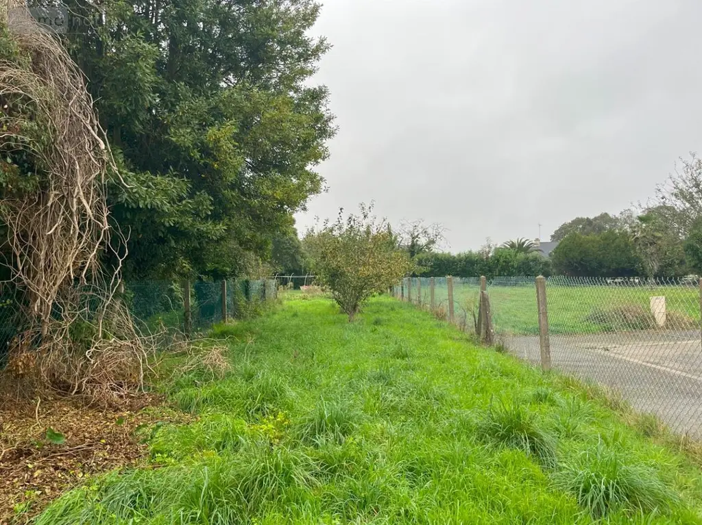 Terrain a batir a vendre Combrit 29120 Finistère 29 136000 euros 29022-1770 003