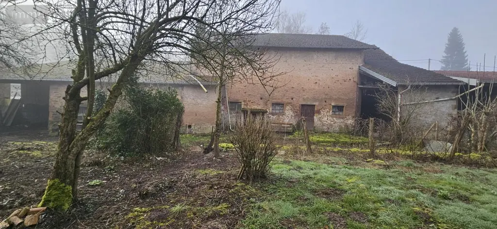 Maison a vendre Ménil-sur-Belvitte 88700 Vosges 88 114 m2 99000 euros 88061-822 004
