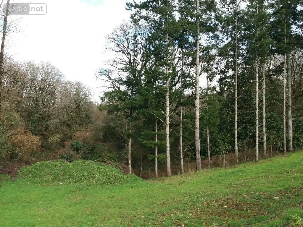 Maison a vendre Spézet 29540 Finistère 29 50 m2 2 pièces 32500 euros 29066-3755 003