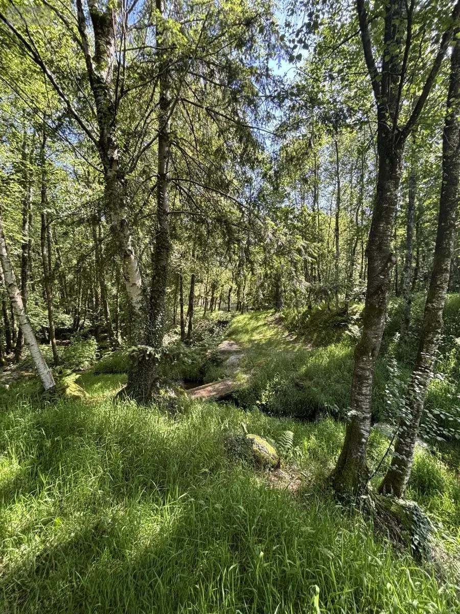 Terrains de loisirs bois etangs a vendre Noues de Sienne 14380 Calvados 14 168800 euros 14076-5956 011