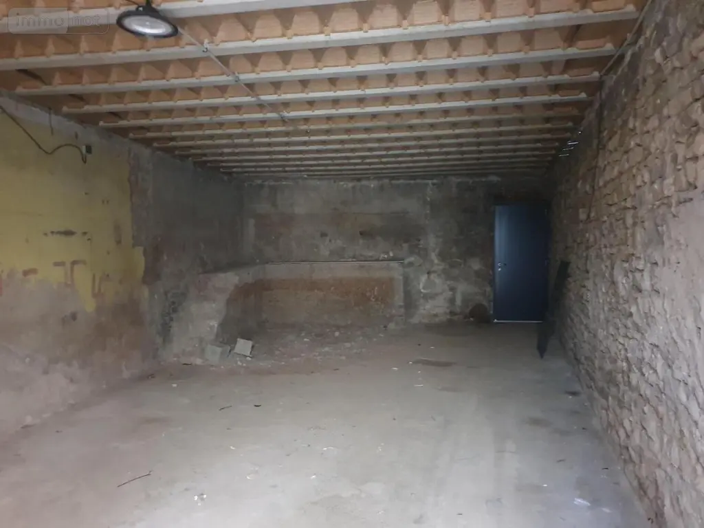 Immeuble de rapport a vendre Ambérieu-en-Bugey 01500 Ain 01 80 m2 300000 euros 01070-820 008