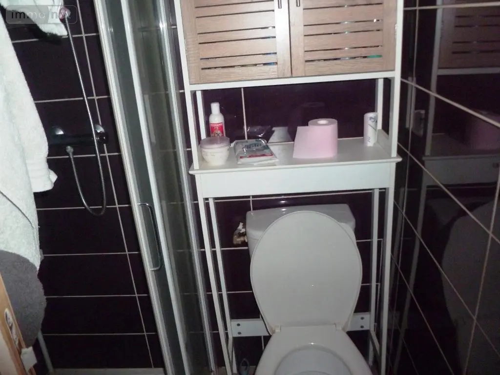 Immeuble de rapport a vendre Camors 56330 Morbihan 56 350 m2 314750 euros 56075-2023 003