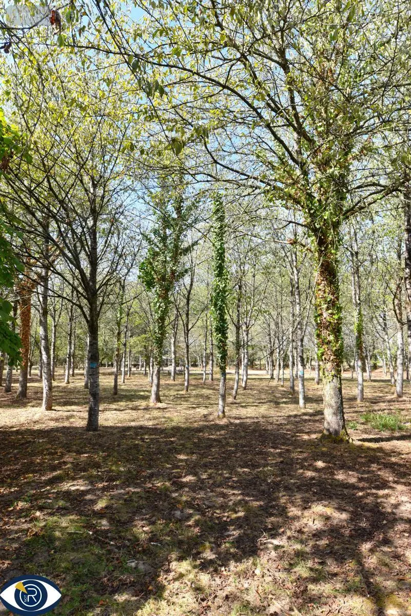 Terrains de loisirs bois etangs a vendre Vaiges 53480 Mayenne 53 69000 euros 53004-1365 004