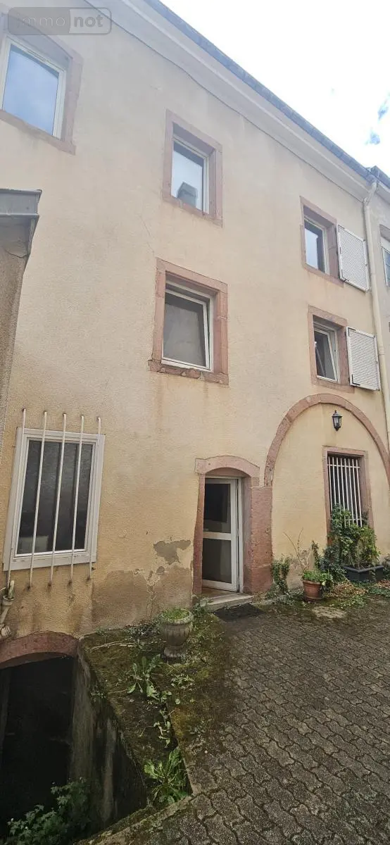 Immeuble de rapport a vendre Saint-Dié-des-Vosges 88100 Vosges 88 200 m2 165000 euros 88061-879 021