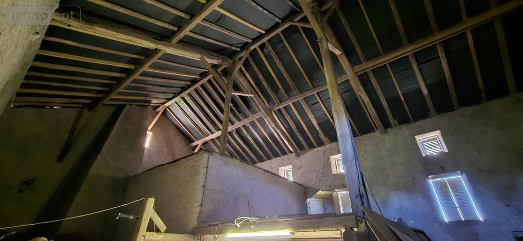 Maison a vendre Ménil-sur-Belvitte 88700 Vosges 88 300 m2 9 pièces 489000 euros 88061-851 032