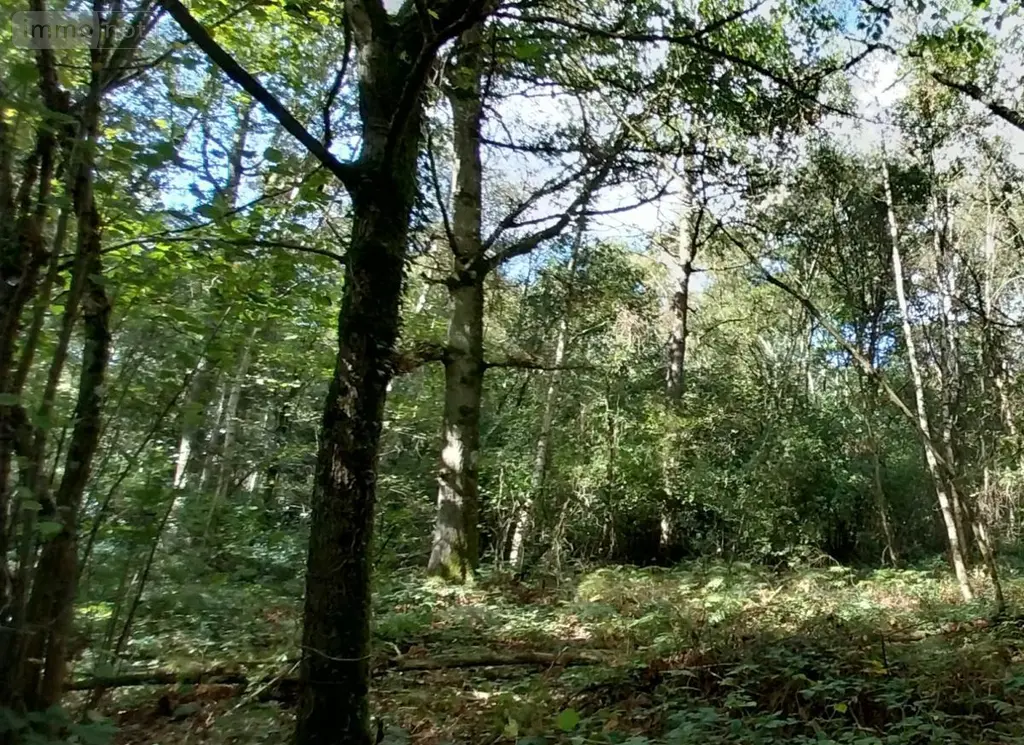 Terrains de loisirs bois etangs a vendre Le Bosc du Theil 27370 Eure 27 37000 euros 27061-1513 001