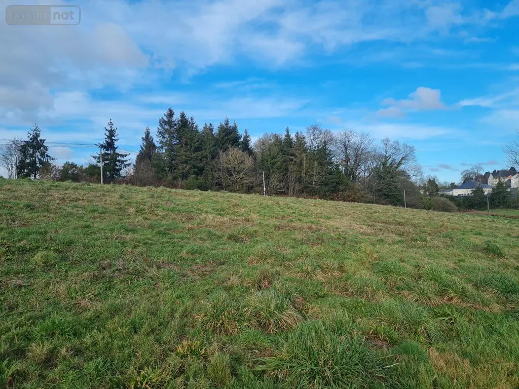 Terrain a batir a vendre Pleugriffet 56120 Morbihan 56 27400 euros 56053-2511 004