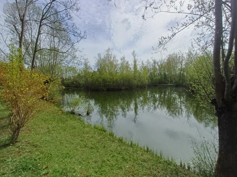Terrains de loisirs bois etangs a vendre Amiens 80000 Somme 80 135000 euros 80011-5566 008